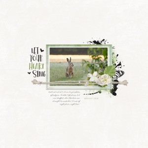 Scraplift Challenge - August 18