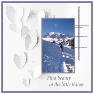 1808-TLP-Photography_Find beauty
