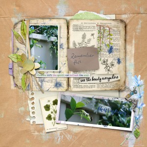 Aug Photog chall - buzz