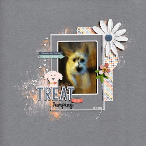 Treat Jumping