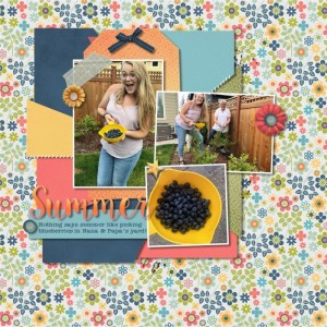Picking Blueberries - SWL MIS Template Challenge
