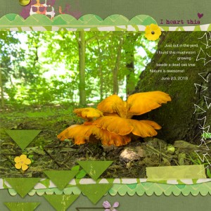 Scrapping-with-Liz_2018-08_August-MIS_web