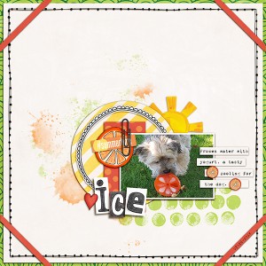 Ice for the Dog