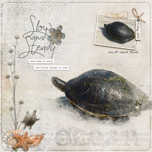 Slow and Steady