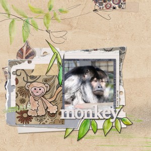 Monkey