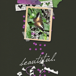 Butterfly-web