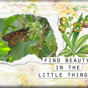 Little-Things