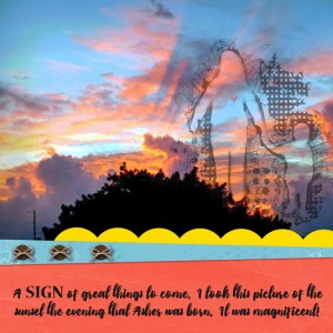 Monthly Muse Week #1 (Signs)