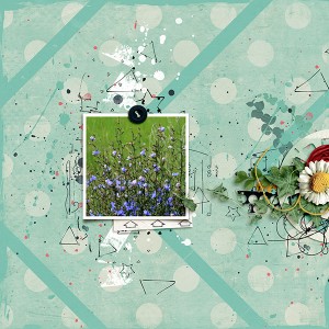 Wildflowers