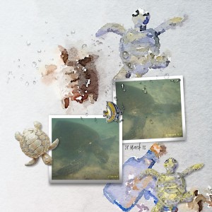 18mar27_turtles01
