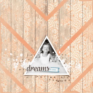 Dreams On Camera