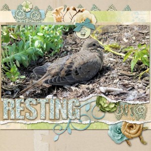 Resting