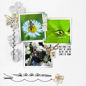 18jul04_garden