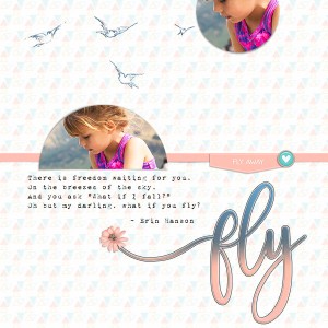 Fly