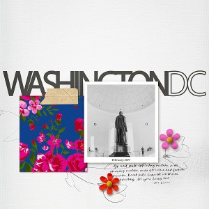 DC Trip Cover Page