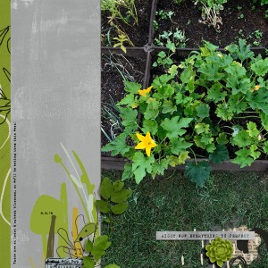 Garden Aug. 2018 (2)