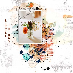 Photography - The Little Things