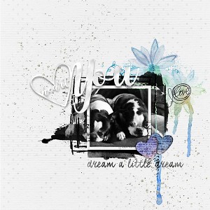 Dream a Little Dream