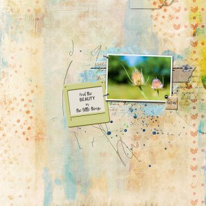 08-18_TLP_August-Photography-Challenge