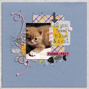 purrr-fect