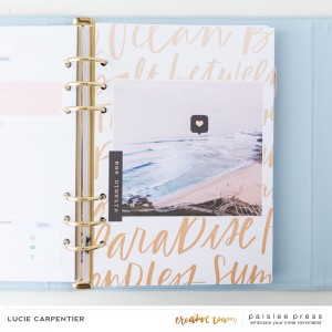 Paislee-ALOHA-projectbyluciecarpentier_01