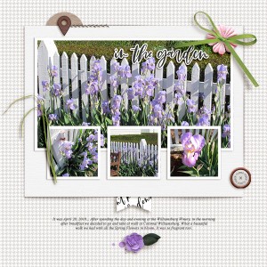 In the Garden
