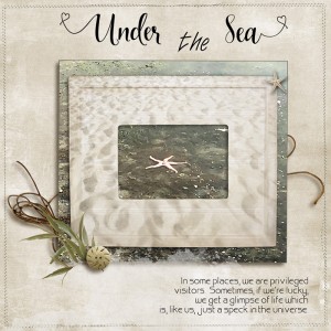 Under-the-sea-starfish-photo-aug-ch