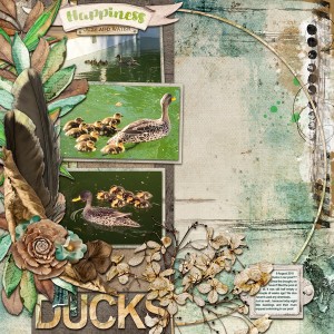 "Ducks"