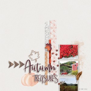 Autumn Treasures