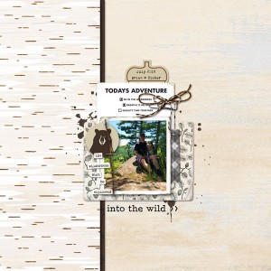 into the wild >>