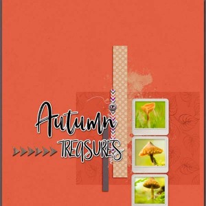 Soco_autumntreasures_SimplyCleanNo5_01
