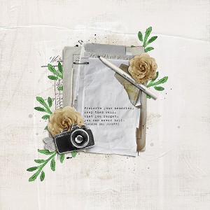 Preserve Your Memories...