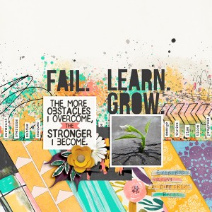 Fail. Learn. Grow.