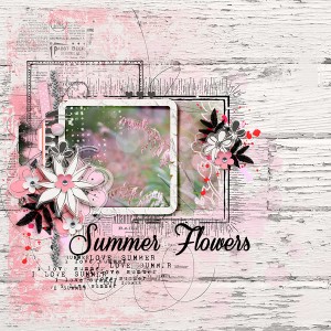 Summer Flowers