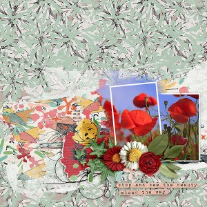 Wildflowers