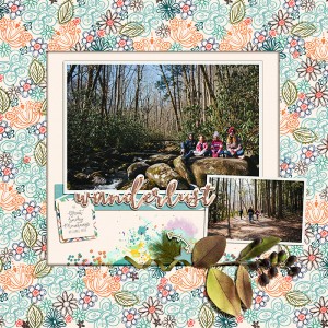 smoky mountains