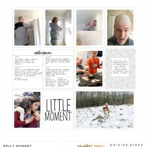 January 2017 page 5