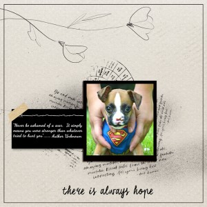 Superdog-temp-ch