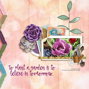 Garden Flowers