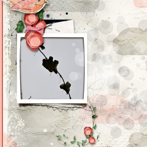 SeeTheBeauty