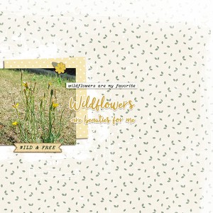 Wildflowers Beauty