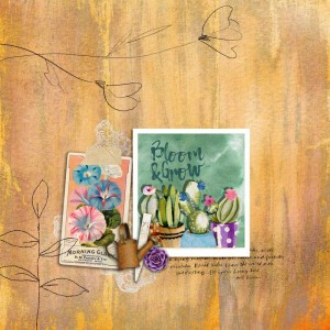 bloom&grow