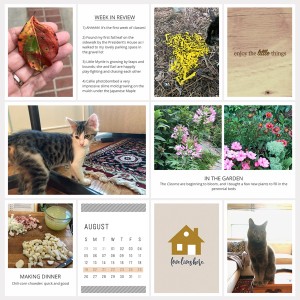 August-Week-4