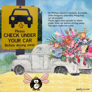 Check Under Your Car - August Muse #4