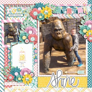 St Louis Zoo