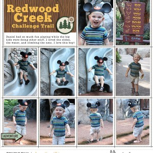 Redwood Creek - left side