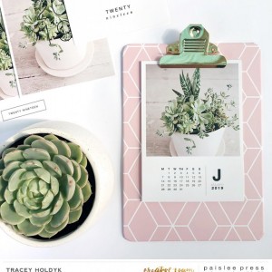 Paislee-2019deskcalender-succulentsbytraceyholdyk1