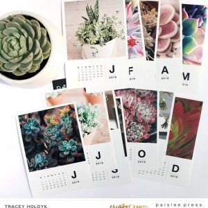Paislee-2019deskcalender-succulentsbytraceyholdyk3