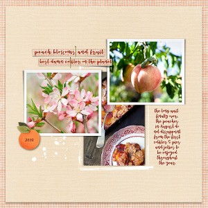 August's Peaches