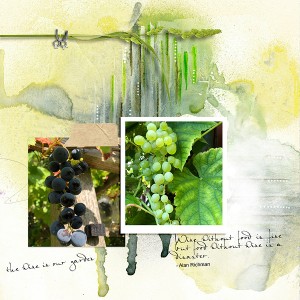 wine